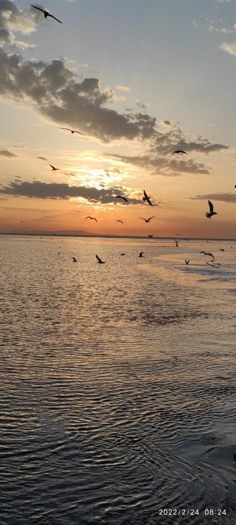 Su dünyasının harikalar diyarı✨ ⚓Denizci günlükleri, sizlerden gelenler⚓