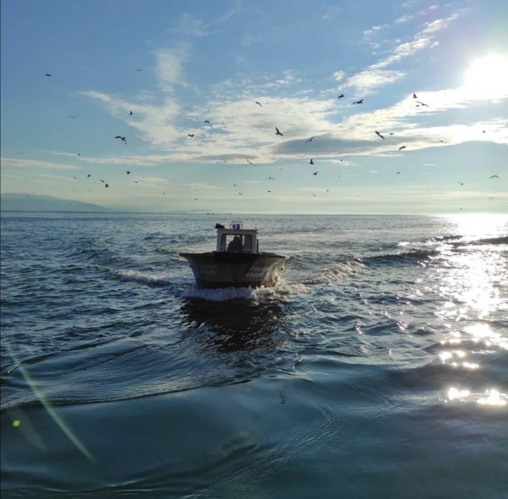 Su dünyasının harikalar diyarı✨ ⚓Denizci günlükleri, sizlerden gelenler⚓