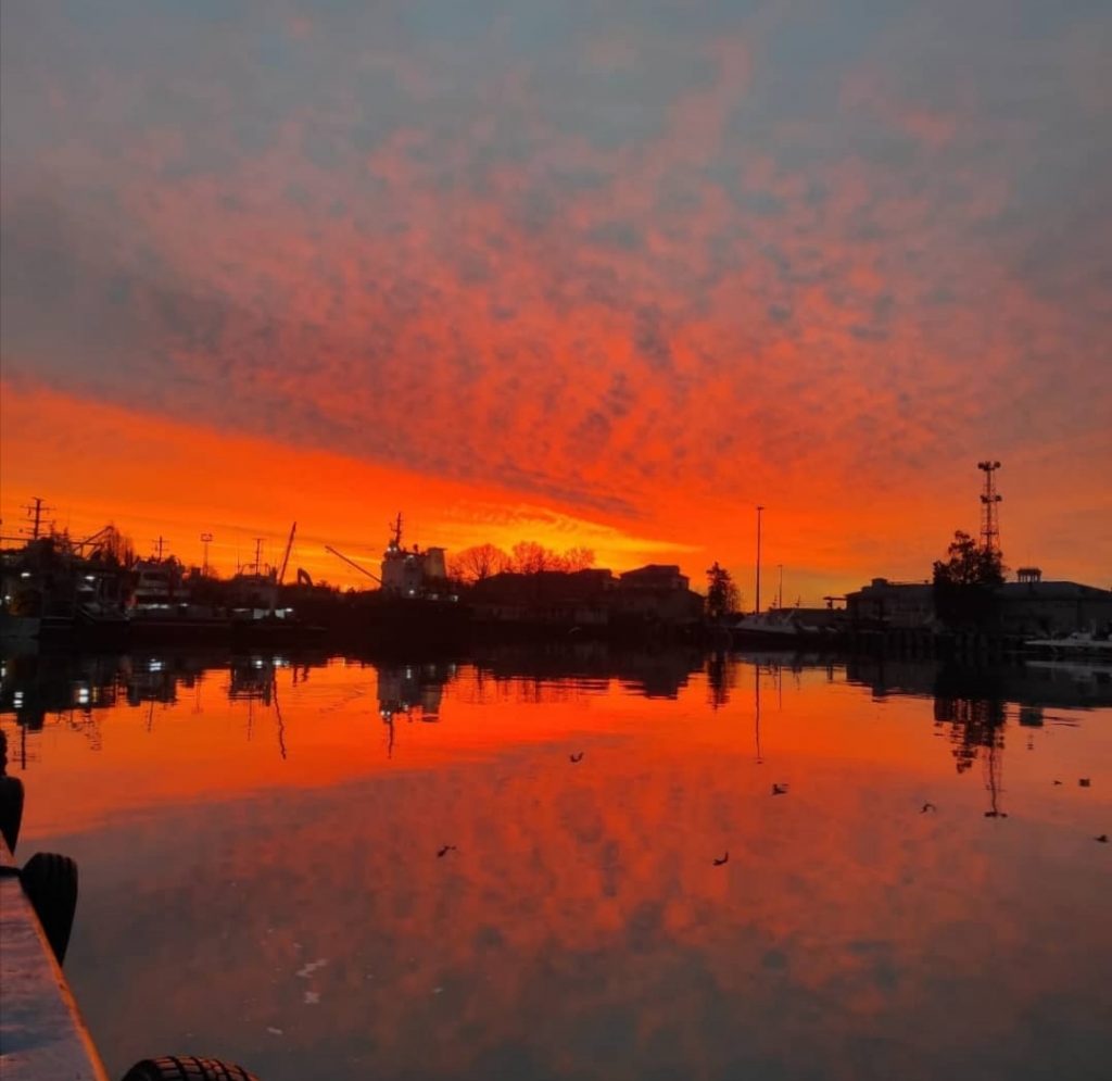 Su dünyasının harikalar diyarı✨ ⚓Denizci günlükleri, sizlerden gelenler⚓