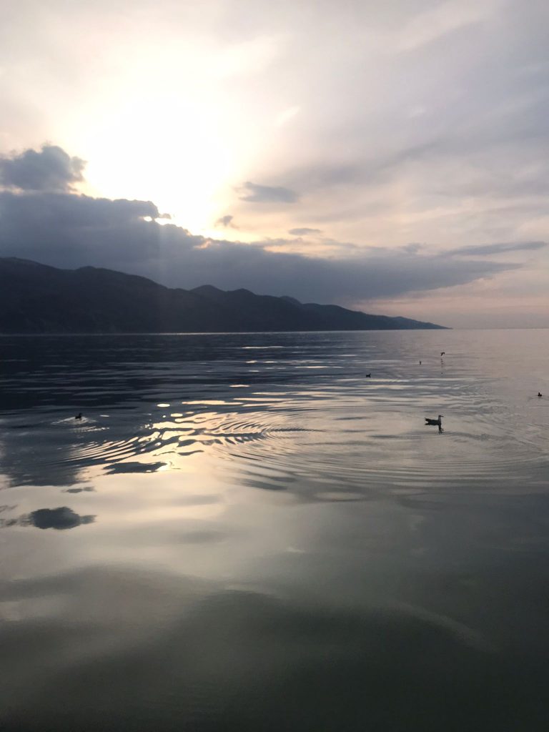 Su dünyasının harikalar diyarı✨ ⚓Denizci günlükleri, sizlerden gelenler⚓